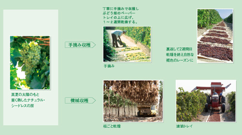 乾燥フロー