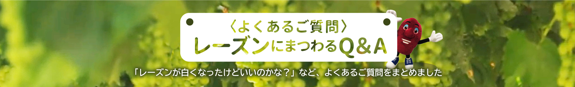 レーズンにまつわるQ＆A