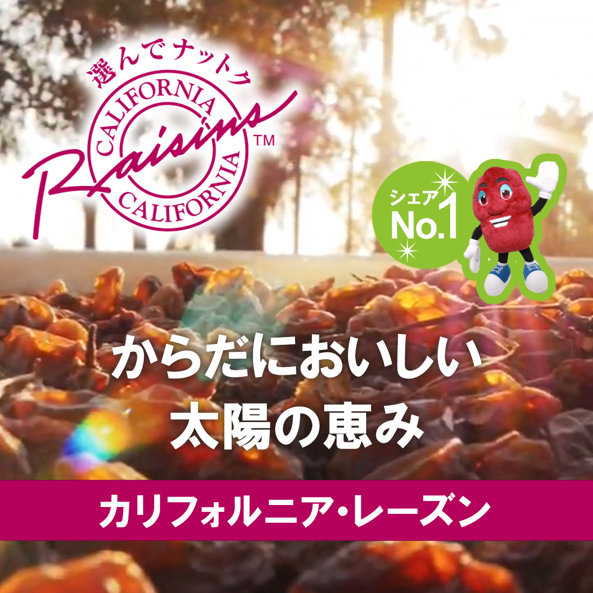 からだにおいしい太陽の恵み カリフォルニア･レーズン