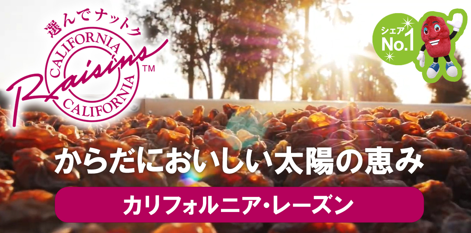 からだにおいしい太陽の恵み カリフォルニア･レーズン